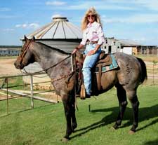 Claytons-Blue-Duke ~ Blue Roan Quarter Horse Stallion Son of Romeo Blue